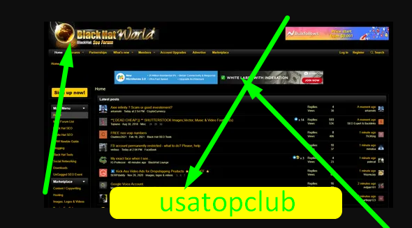 Buy Blackhatworld Account