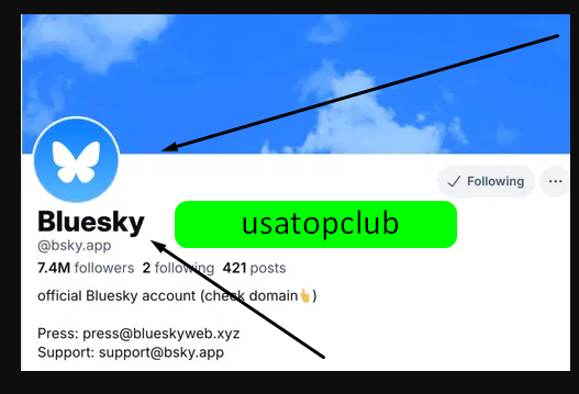 Buying Bluesky Accounts