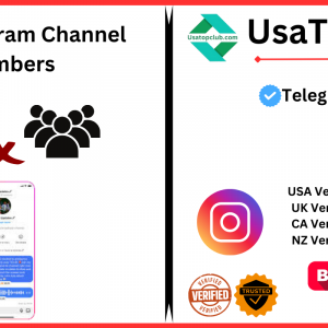 Buy Instagram Channel Members